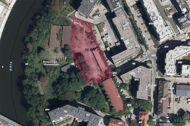 698ccccedfa8b_Dmowskiego pow. do najmu orto 